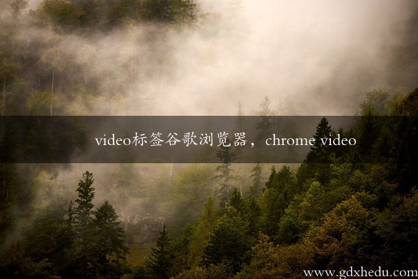 video标签谷歌浏览器，chrome video