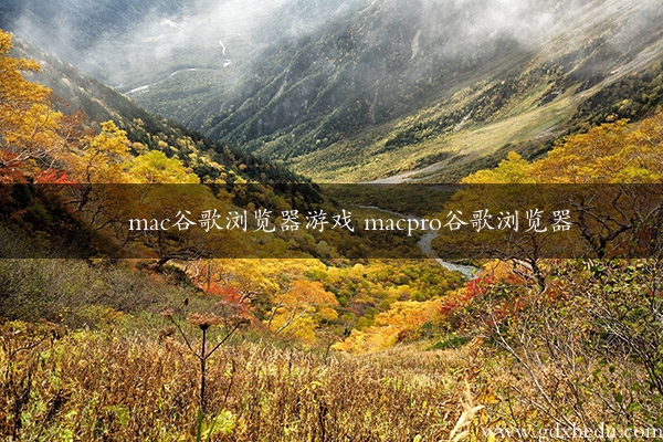 mac谷歌浏览器游戏 macpro谷歌浏览器