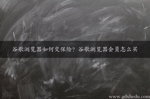 谷歌浏览器如何交保险？谷歌浏览器会员怎么买