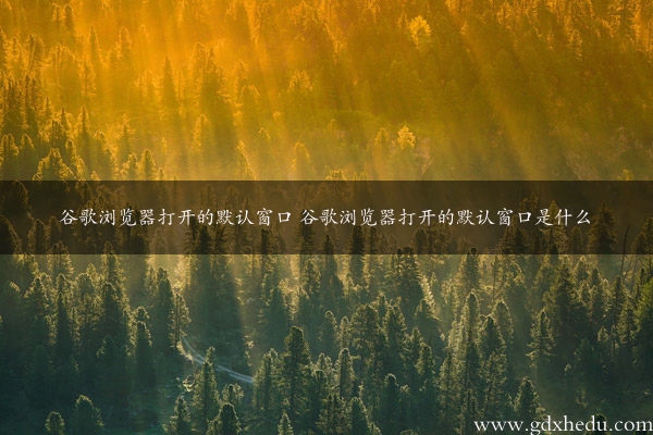 谷歌浏览器打开的默认窗口 谷歌浏览器打开的默认窗口是什么