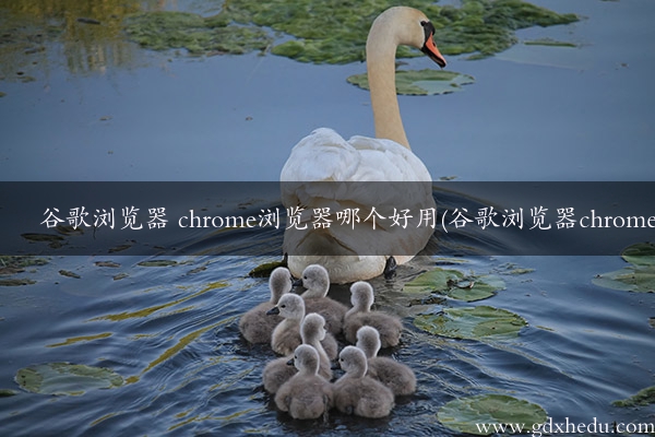 谷歌浏览器 chrome浏览器哪个好用(谷歌浏览器chrome)