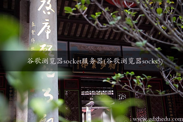 谷歌浏览器socket服务器(谷歌浏览器socks5)