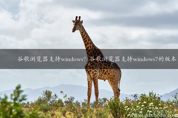 谷歌浏览器支持windows？谷歌浏览器支持windows7的版本