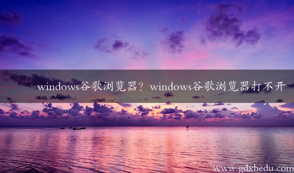 windows谷歌浏览器？windows谷歌浏览器打不开