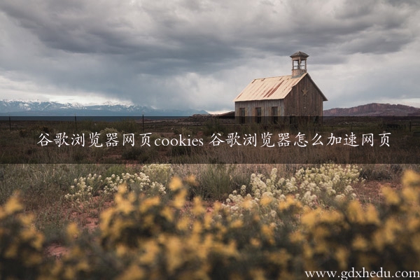 谷歌浏览器网页cookies 谷歌浏览器怎么加速网页