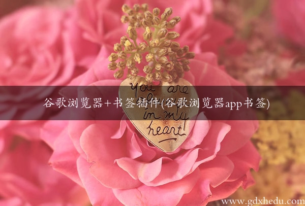 谷歌浏览器+书签插件(谷歌浏览器app书签)