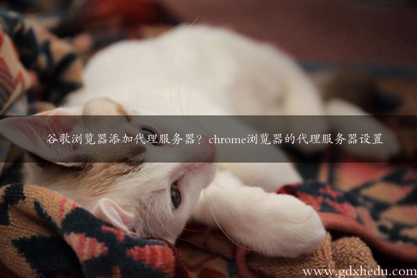 谷歌浏览器添加代理服务器？chrome浏览器的代理服务器设置