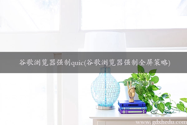 谷歌浏览器强制quic(谷歌浏览器强制全屏策略)