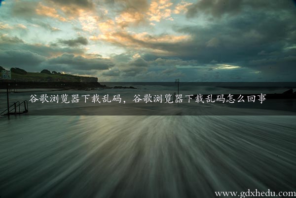 谷歌浏览器下载乱码，谷歌浏览器下载乱码怎么回事