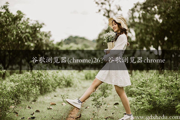 谷歌浏览器(chrome)26？谷歌浏览器chrome