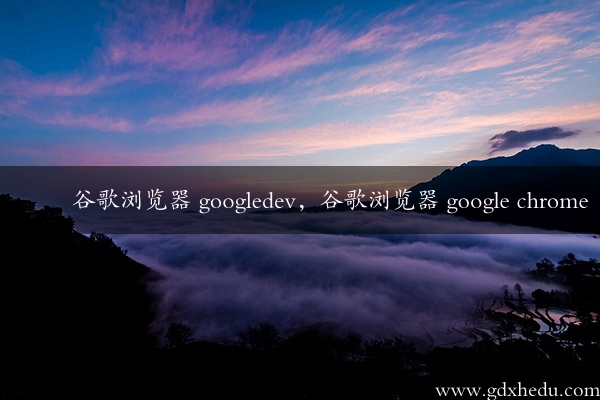 谷歌浏览器 googledev，谷歌浏览器 google chrome