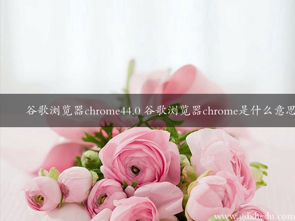 谷歌浏览器chrome44.0 谷歌浏览器chrome是什么意思