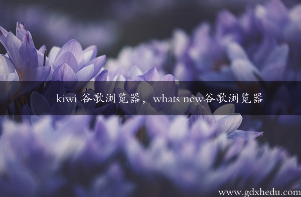 kiwi 谷歌浏览器，whats new谷歌浏览器