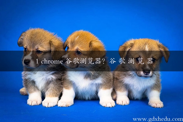 1 chrome 谷歌浏览器？谷 歌 浏 览 器