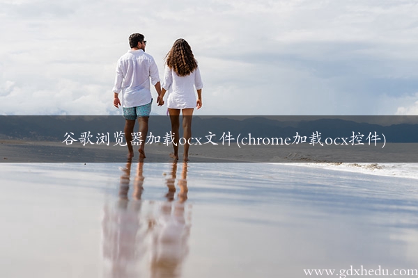 谷歌浏览器加载ocx文件(chrome加载ocx控件)