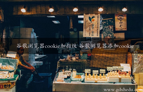 谷歌浏览器cookie加指纹 谷歌浏览器添加cookie