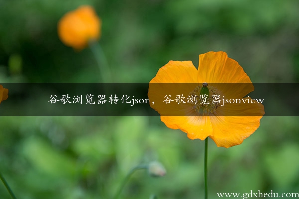 谷歌浏览器转化json，谷歌浏览器jsonview