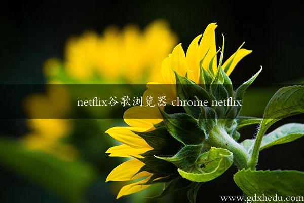 netflix谷歌浏览器 chrome netflix