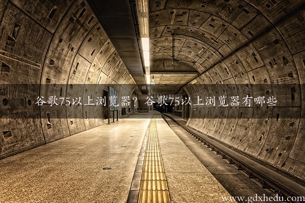 谷歌75以上浏览器？谷歌75以上浏览器有哪些