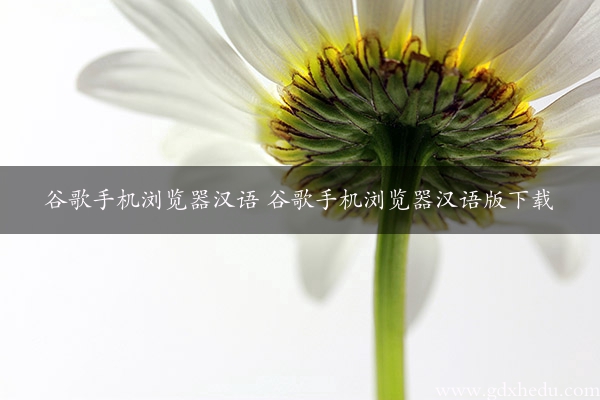 谷歌手机浏览器汉语 谷歌手机浏览器汉语版下载
