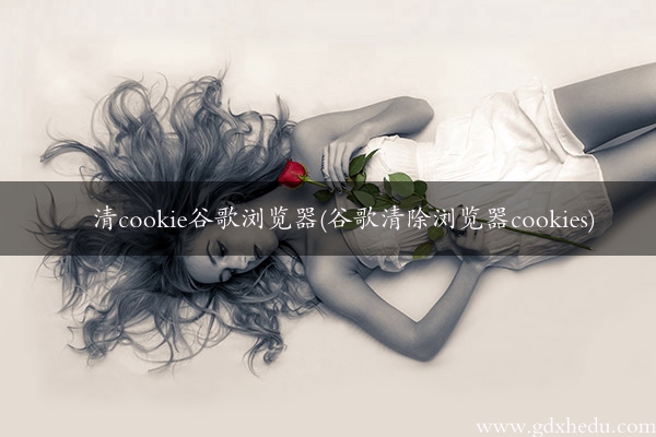 清cookie谷歌浏览器(谷歌清除浏览器cookies)