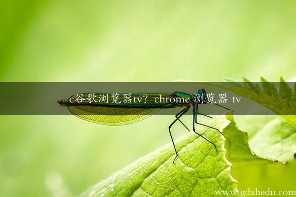 c谷歌浏览器tv？chrome 浏览器 tv