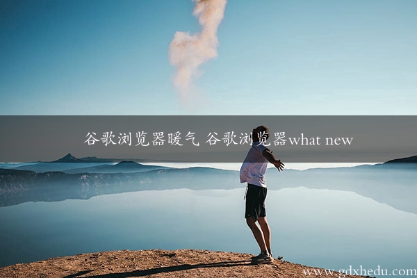 谷歌浏览器暖气 谷歌浏览器what new