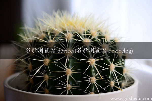 谷歌浏览器 devices(谷歌浏览器 devicelog)