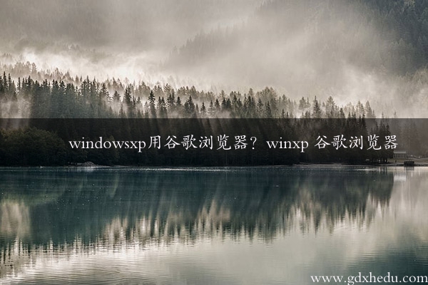 windowsxp用谷歌浏览器？winxp 谷歌浏览器