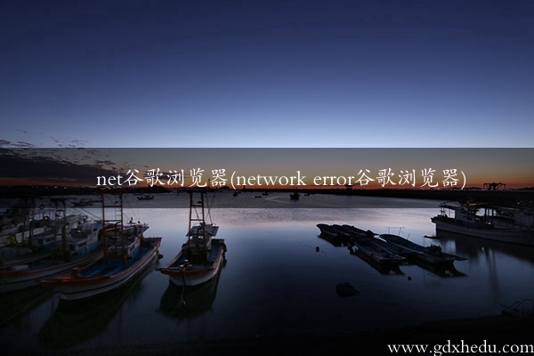 net谷歌浏览器(network error谷歌浏览器)