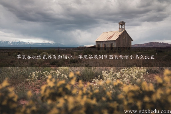 苹果谷歌浏览器页面缩小，苹果谷歌浏览器页面缩小怎么设置