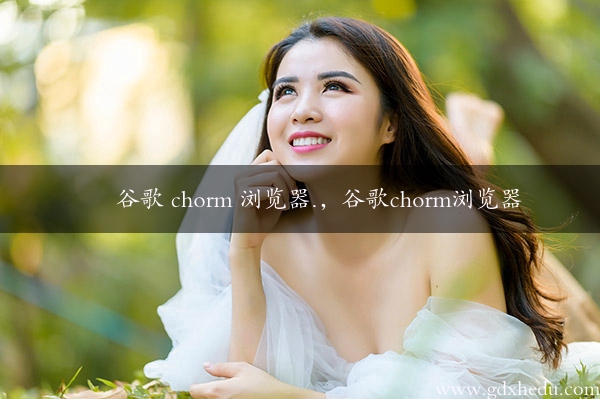 谷歌 chorm 浏览器.，谷歌chorm浏览器