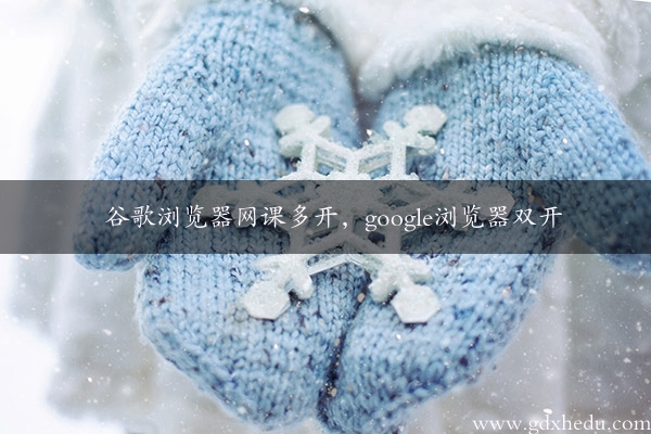 谷歌浏览器网课多开，google浏览器双开