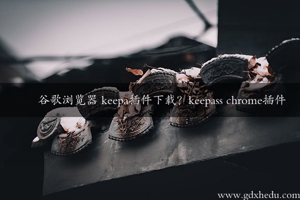 谷歌浏览器 keepa插件下载？keepass chrome插件