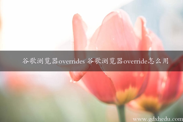 谷歌浏览器overrides 谷歌浏览器override怎么用