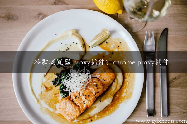 谷歌浏览器 proxy插件？chrome proxy插件