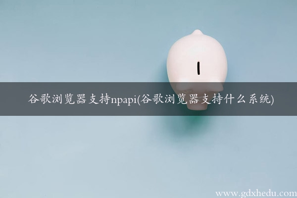 谷歌浏览器支持npapi(谷歌浏览器支持什么系统)