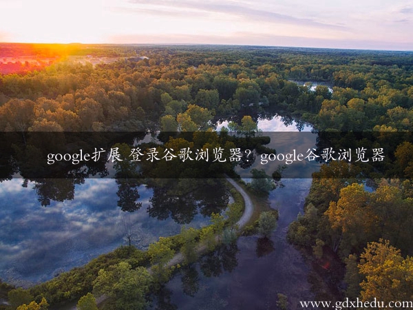 google扩展 登录谷歌浏览器？google谷歌浏览器