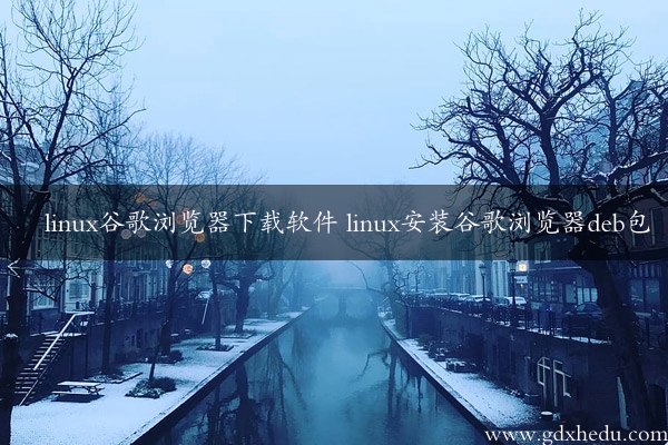 linux谷歌浏览器下载软件 linux安装谷歌浏览器deb包