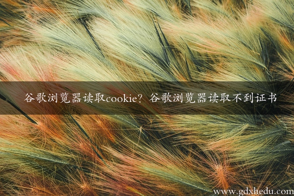 谷歌浏览器读取cookie？谷歌浏览器读取不到证书