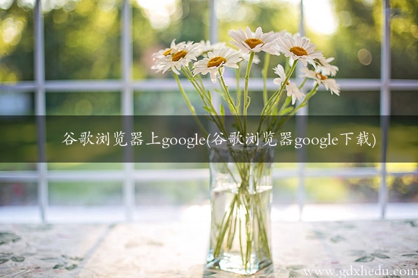 谷歌浏览器上google(谷歌浏览器google下载)