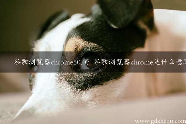 谷歌浏览器chrome50.0？谷歌浏览器chrome是什么意思