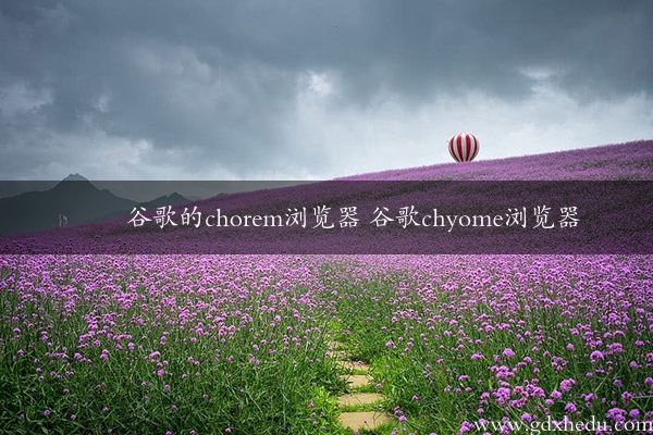 谷歌的chorem浏览器 谷歌chyome浏览器