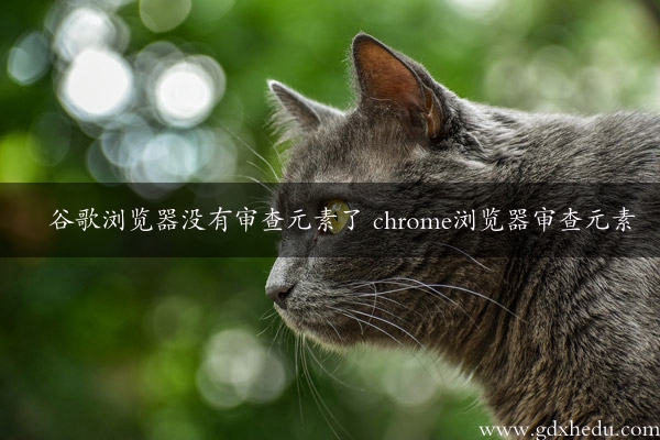 谷歌浏览器没有审查元素了 chrome浏览器审查元素