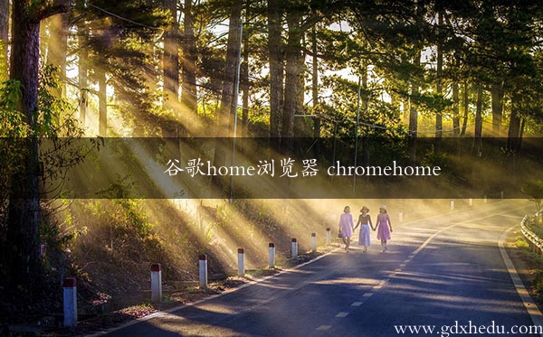 谷歌home浏览器 chromehome