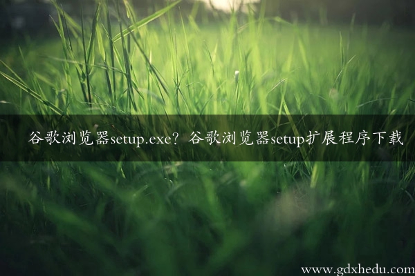 谷歌浏览器setup.exe？谷歌浏览器setup扩展程序下载