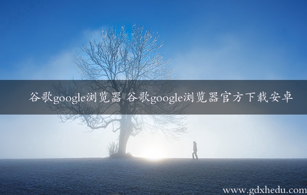 谷歌google浏览器 谷歌google浏览器官方下载安卓