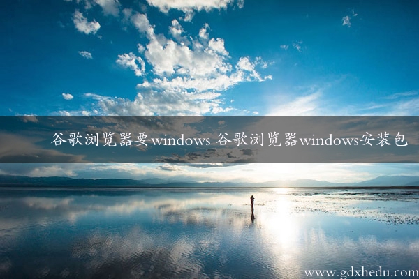 谷歌浏览器要windows 谷歌浏览器windows安装包