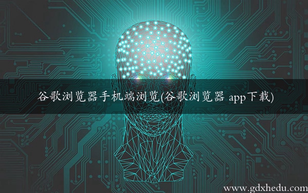 谷歌浏览器手机端浏览(谷歌浏览器 app下载)