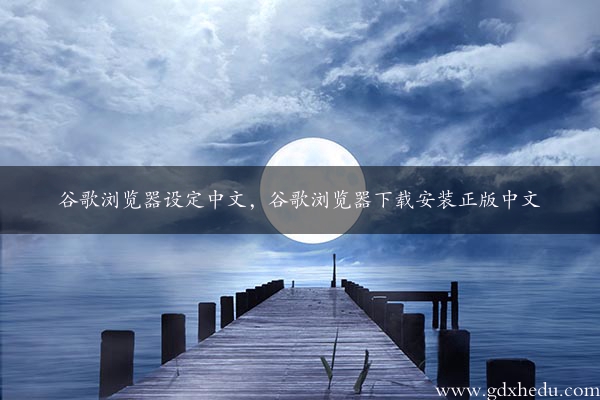 谷歌浏览器设定中文，谷歌浏览器下载安装正版中文